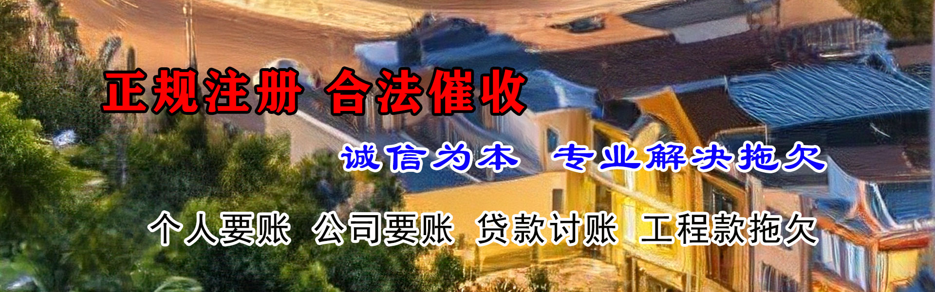 滨海新区清债公司